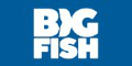 Big Fish Games