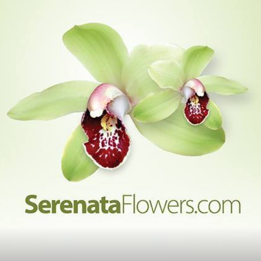 Serenata Flowers Coupon Codes